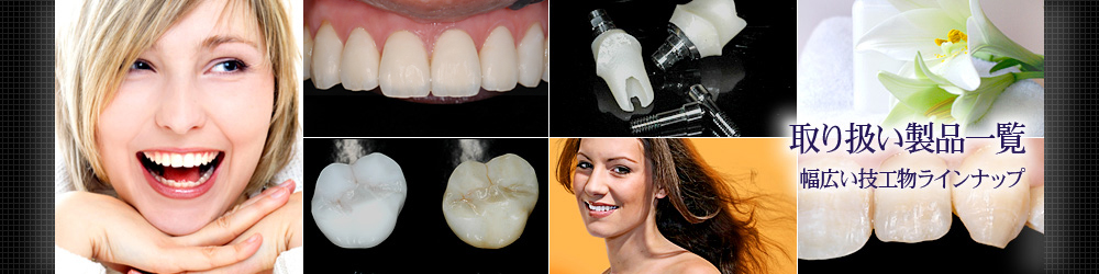 取り扱い製品一覧
