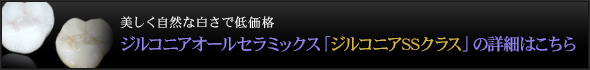ジルコニアオールセラミックス「ジルコニアSSクラス」の詳細はこちら